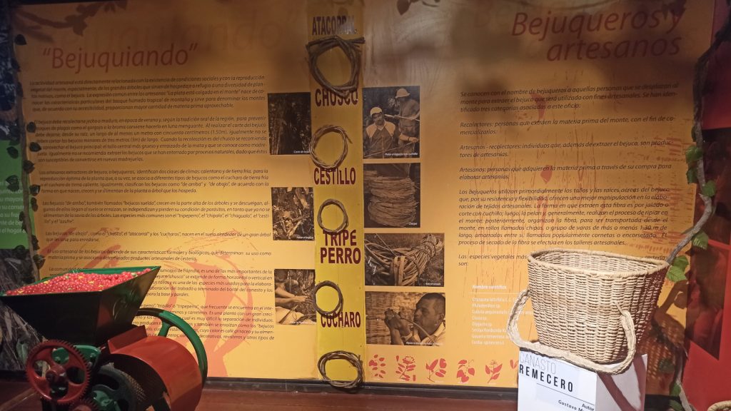Centro de Interpretación "Del bejuco al canasto", con murales explicativos de la exposición sobre el arte del bejuco.