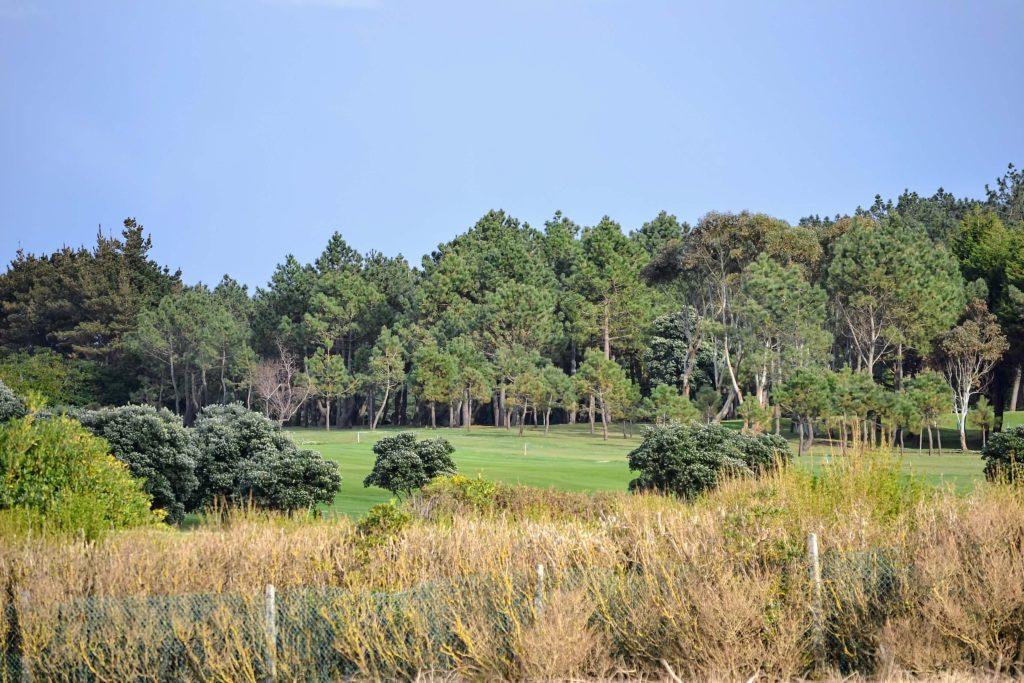 Golf park in Punta Galea