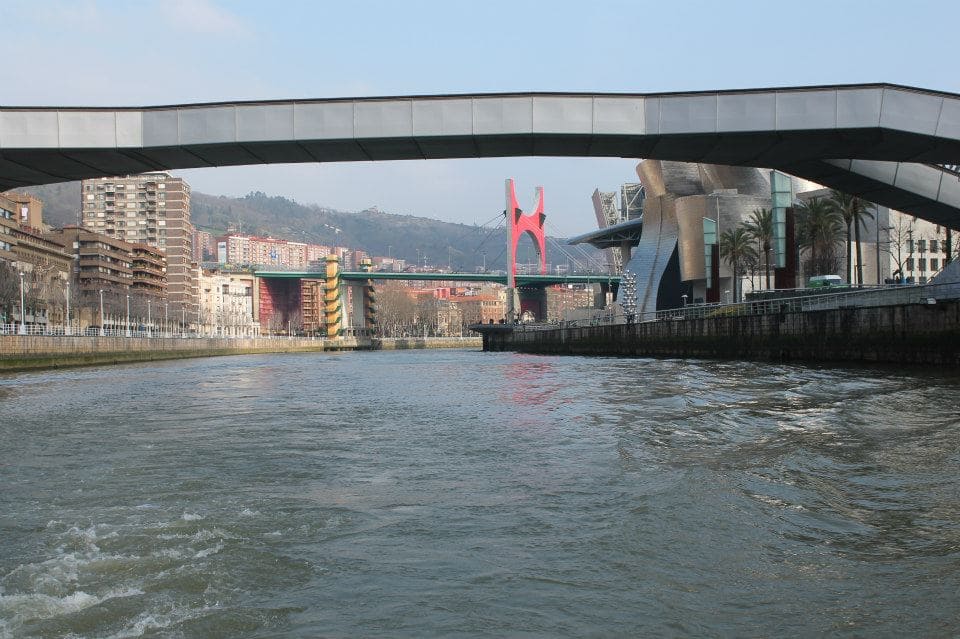 Puentes de Bilbao vistos desde el crucero