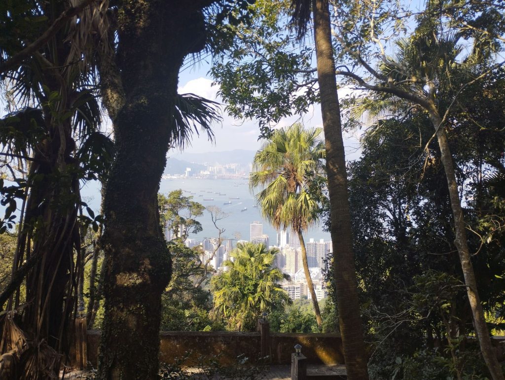 Vistas entre los árboles de Victoria Peak