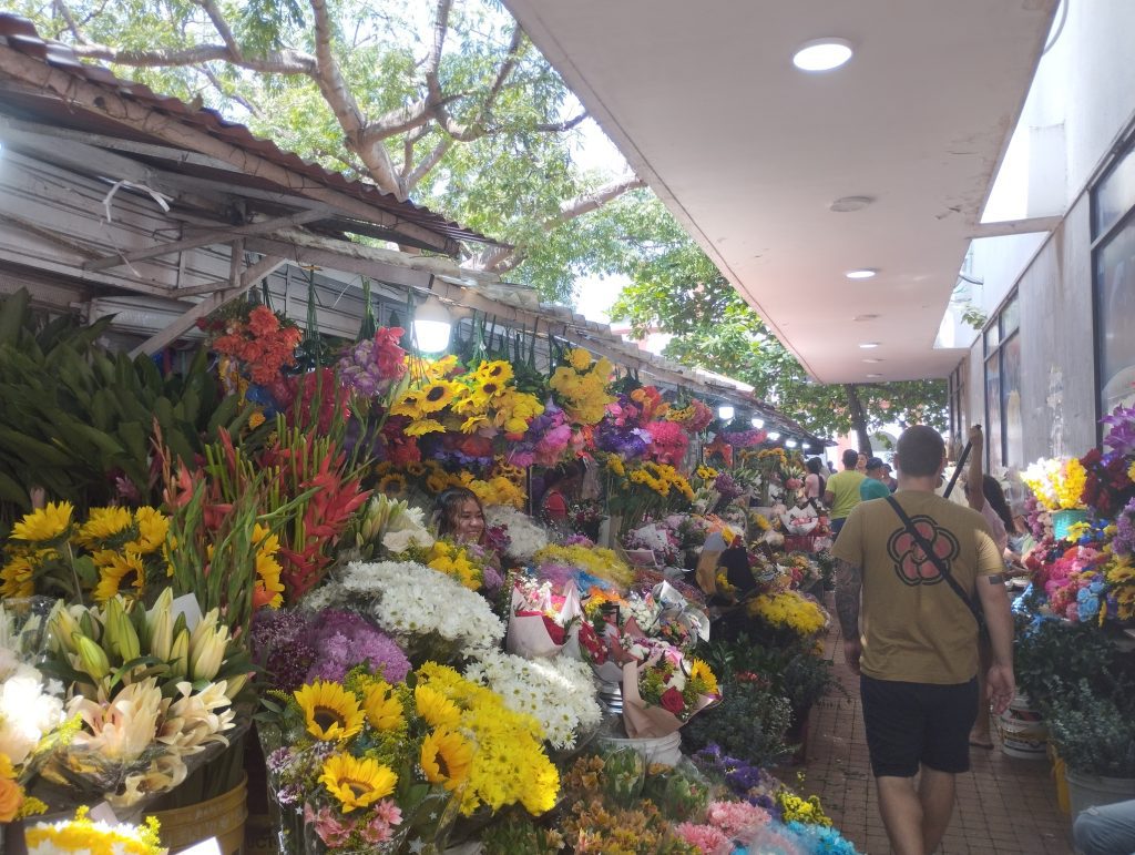 Si quieres ver la vida local cartagenera, visita el Mercado de las Flores y su entorno.