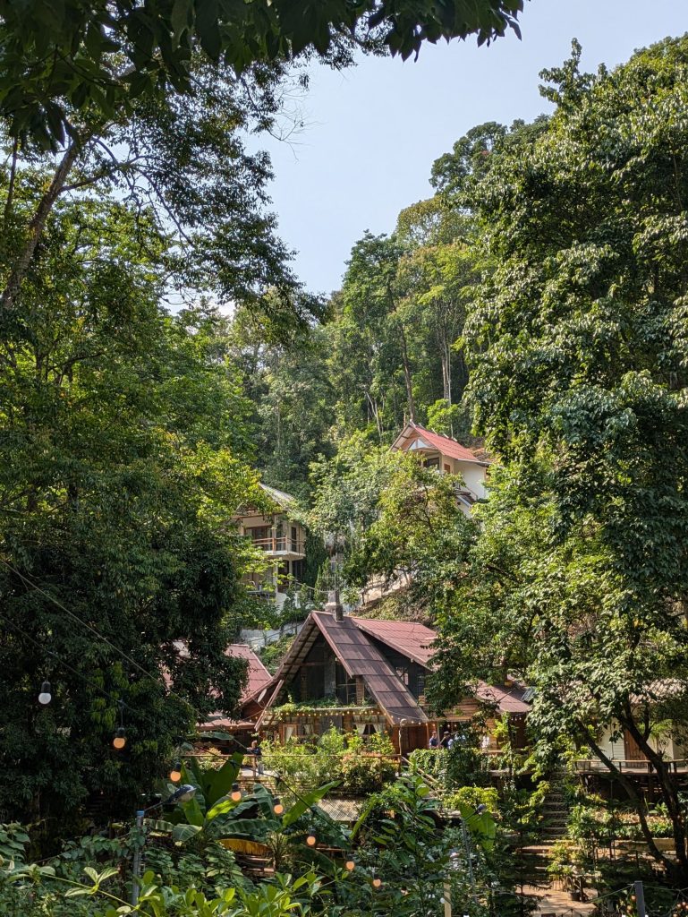 Mejores cafeterías de Mae Kampong para visitar