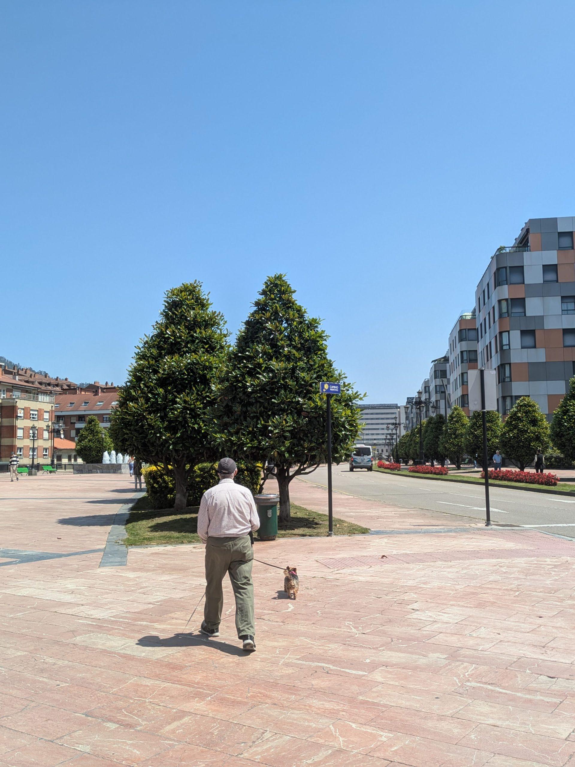 hombre pasea con su perro en la losa de oviedo