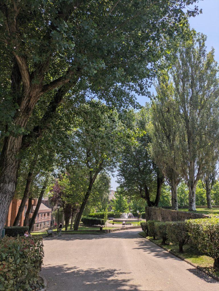 paseo con sol y sombra en el parque san pedro de los arcos de oviedo