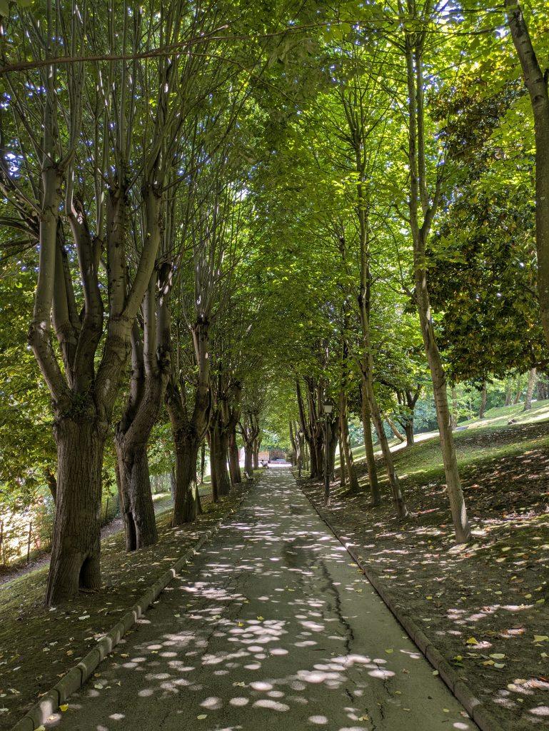 paseo en los jardines de la rodriga de oviedo