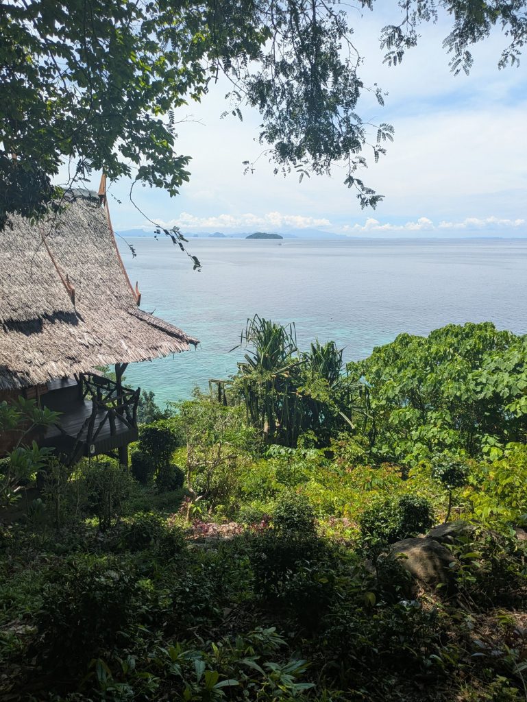 Dónde alojarse en Koh Phi Phi: Resort con vistas al mar