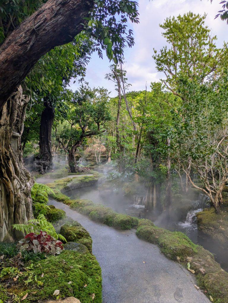 Botanical park of Chiang Mai