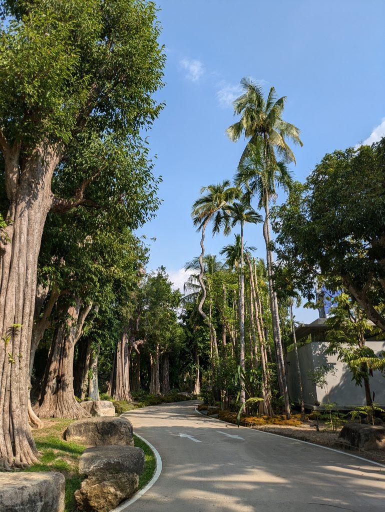 Beautiful natural species in the park