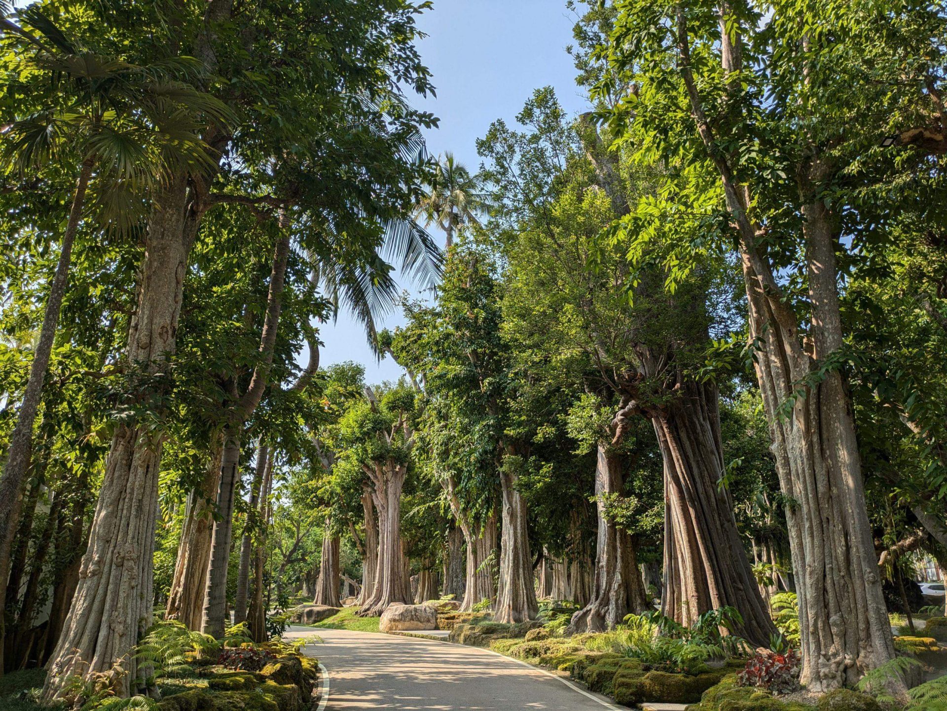 changthong-heritage-park-chiang-mai-scaled