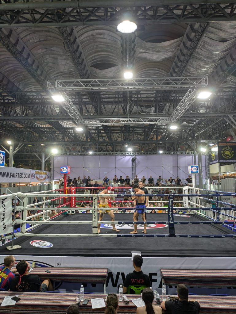 practicando Muay Thai