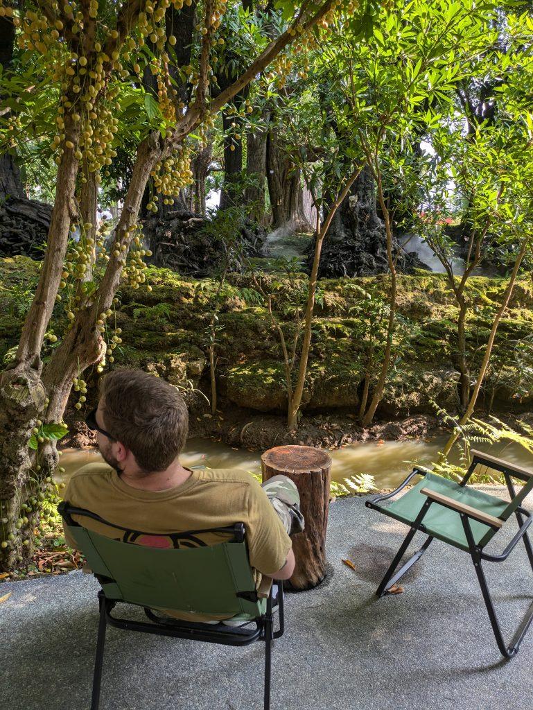 Relaxing in the park surrounded by green trees