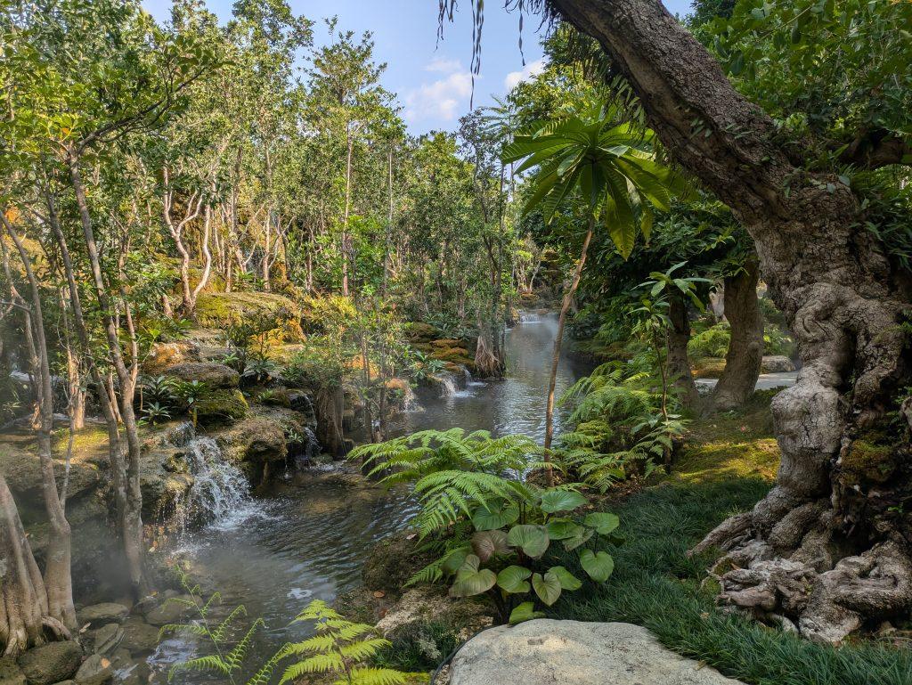 River surrounded by vegetation in Changthong Heritage Park