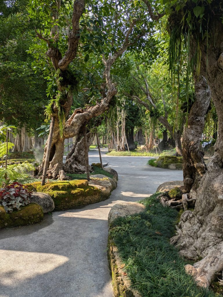 Preciosa zona con cascadas en el museo de árboles centenarios de Chiang Mai