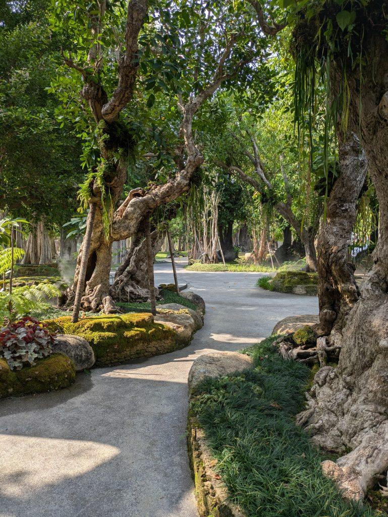 Paths that wander around in the heritage park Changthong Chiang Mai