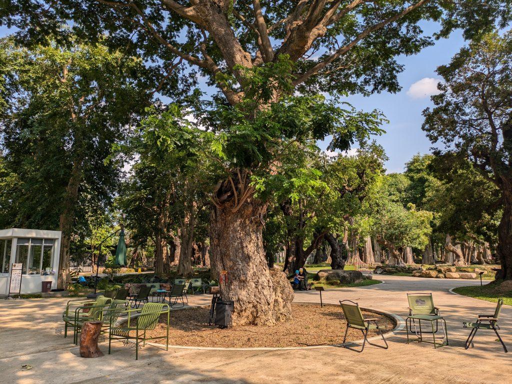 Central area next to the kiosk, ideal for relaxing