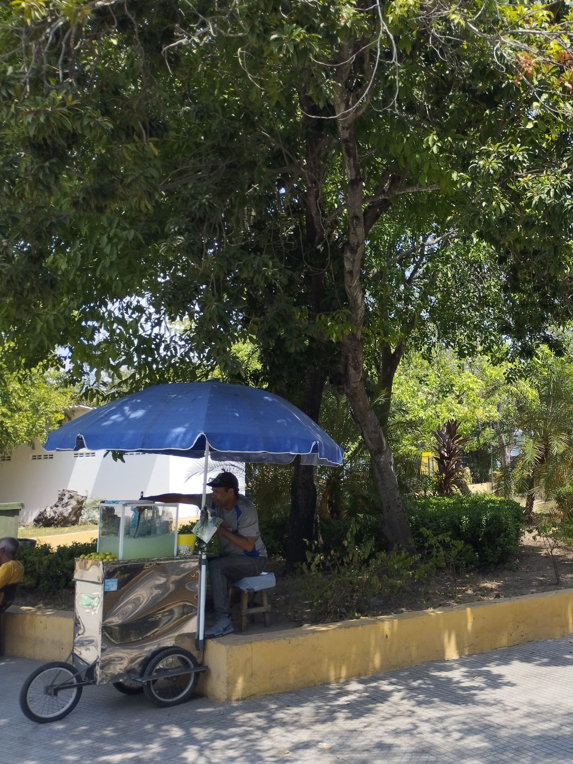 Carrito de venta de limonada, una de las bebidas que más se ven y se consumen en las calles de Cartagena.