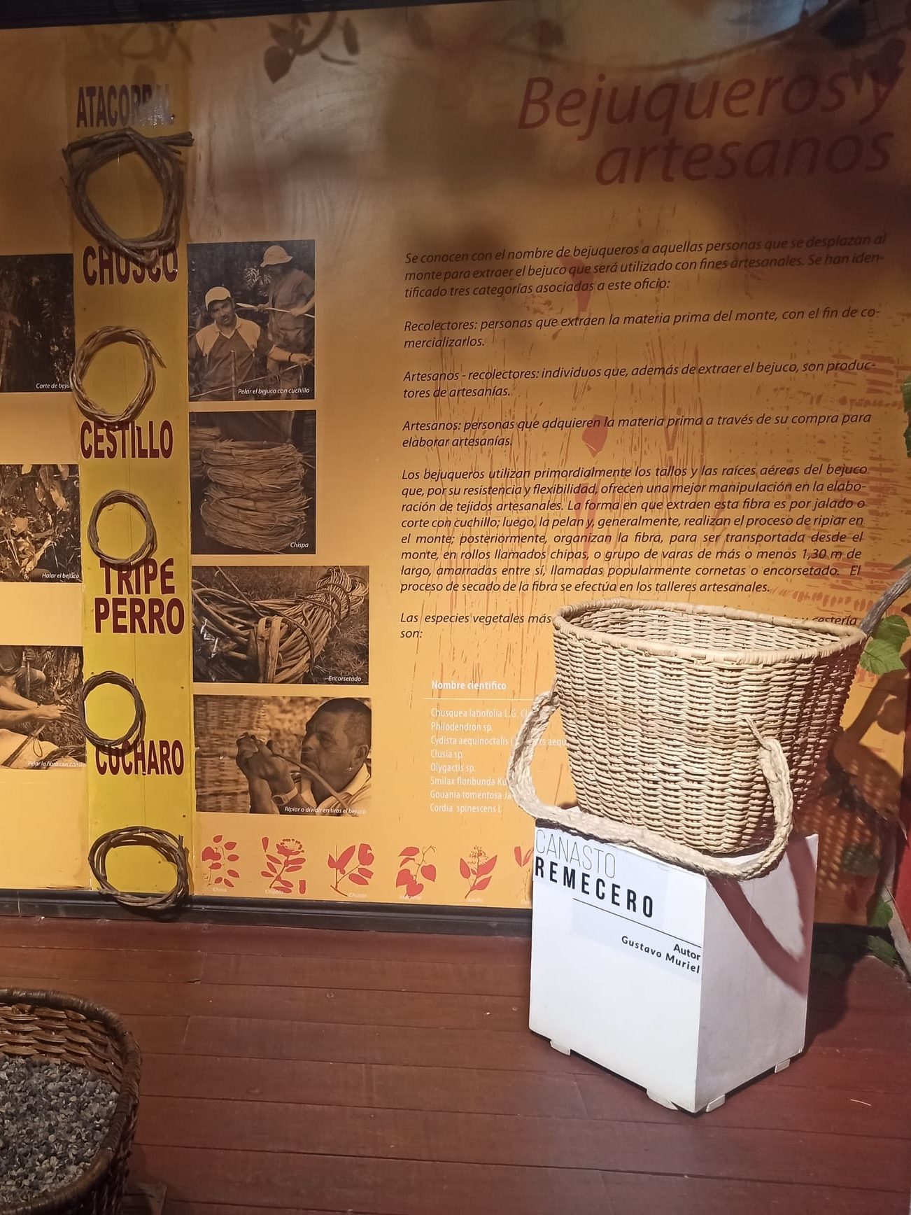 Centro de Interpretación Del Bejuco al Canasto en Filandia