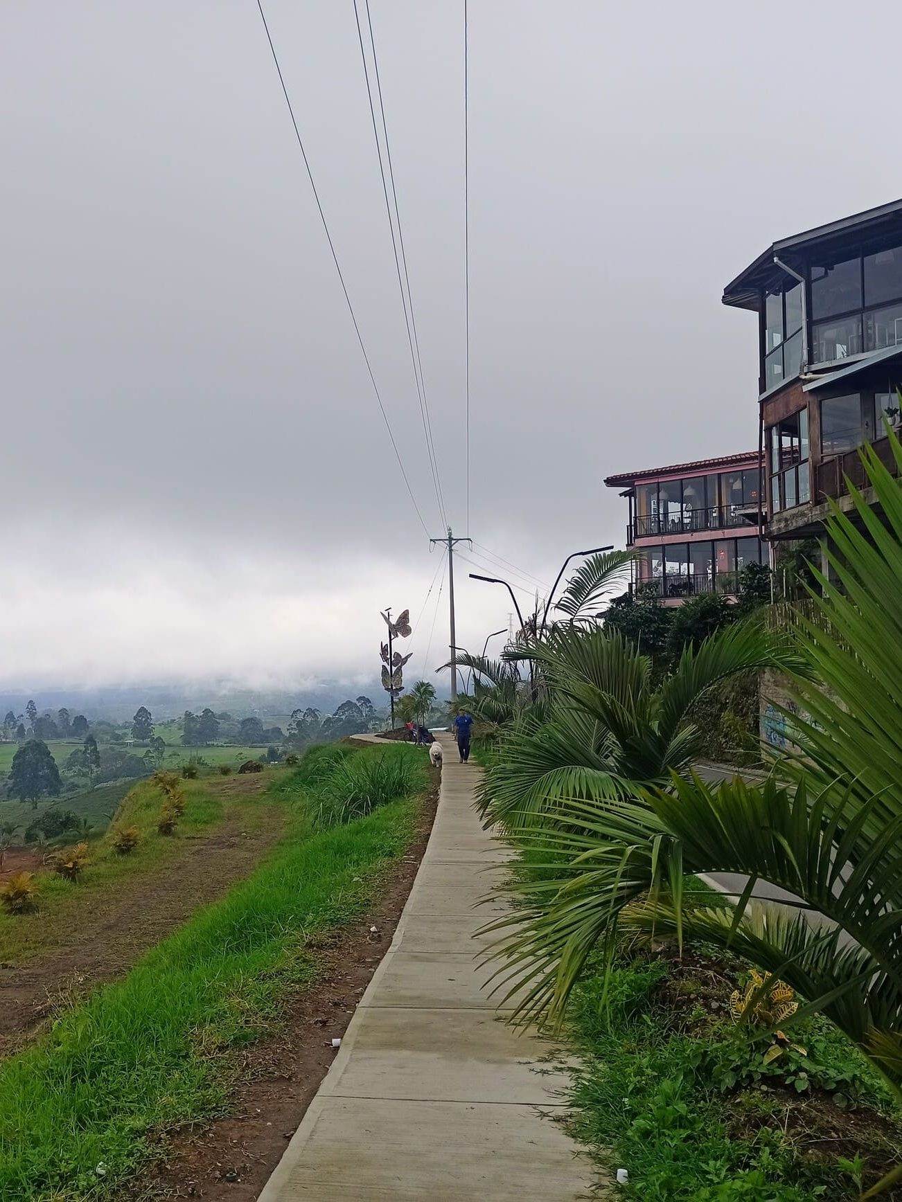Camino bajo el Mirador Encanto, con los paisajes del Eje Cafetero a la izquierda