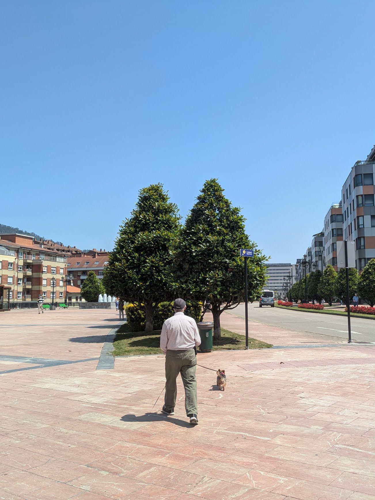 hombre pasea con su perro en la losa de oviedo