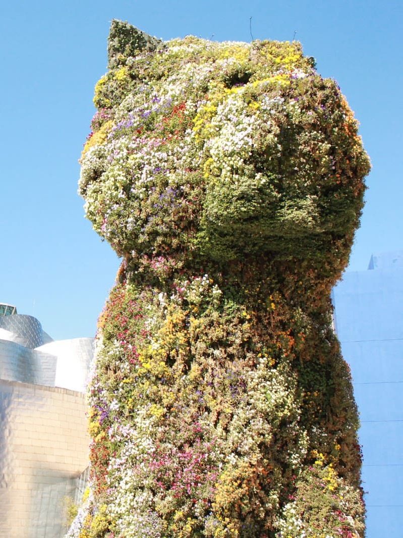 Puppy, el guardián del Guggenheim, no puede faltar en esta ruta para ver Bilbao en 1 día
