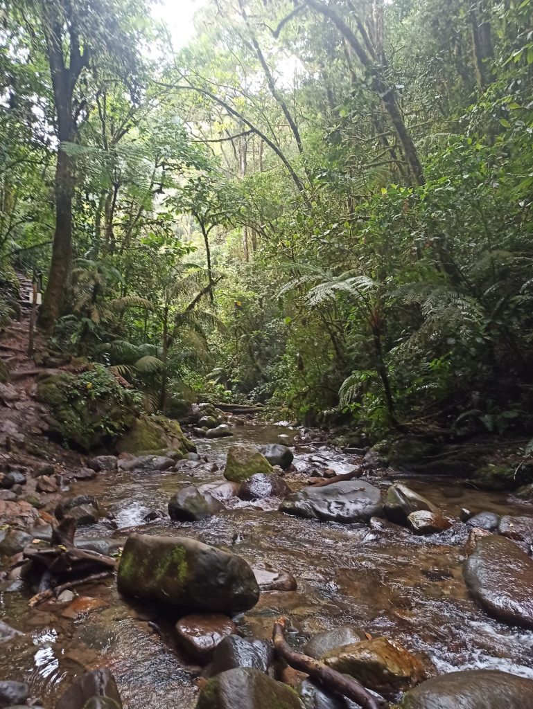 Río donde bañarse en la reserva