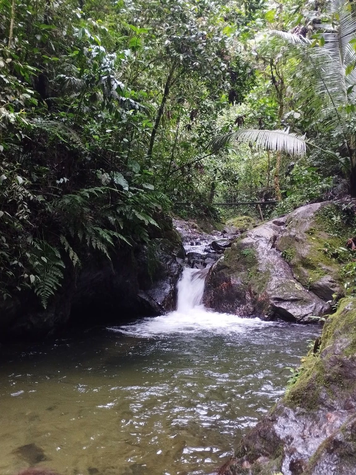 Piscina natural en Santa Rita
