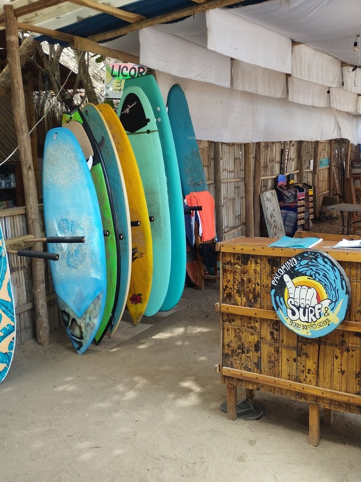 Cursos de surf, una de las actividades principales en Palomino