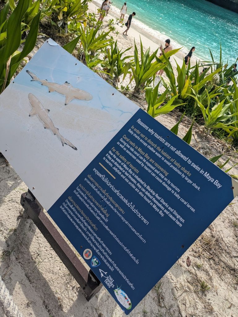 Carteles informativos en Maya Bay
