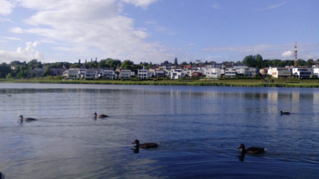 Phoenix See, lago con patos que visitar cerca de Unna