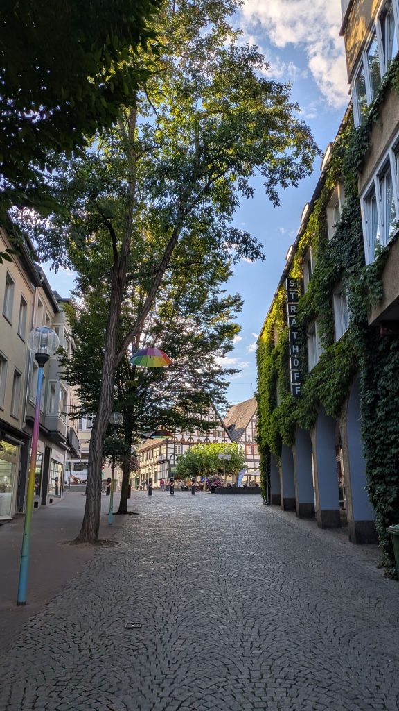 Colores y plantas en las calles de Unna