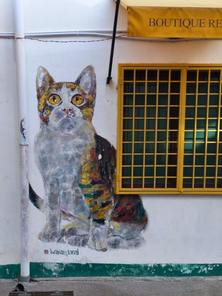 Murales de street art en Armenian Street.