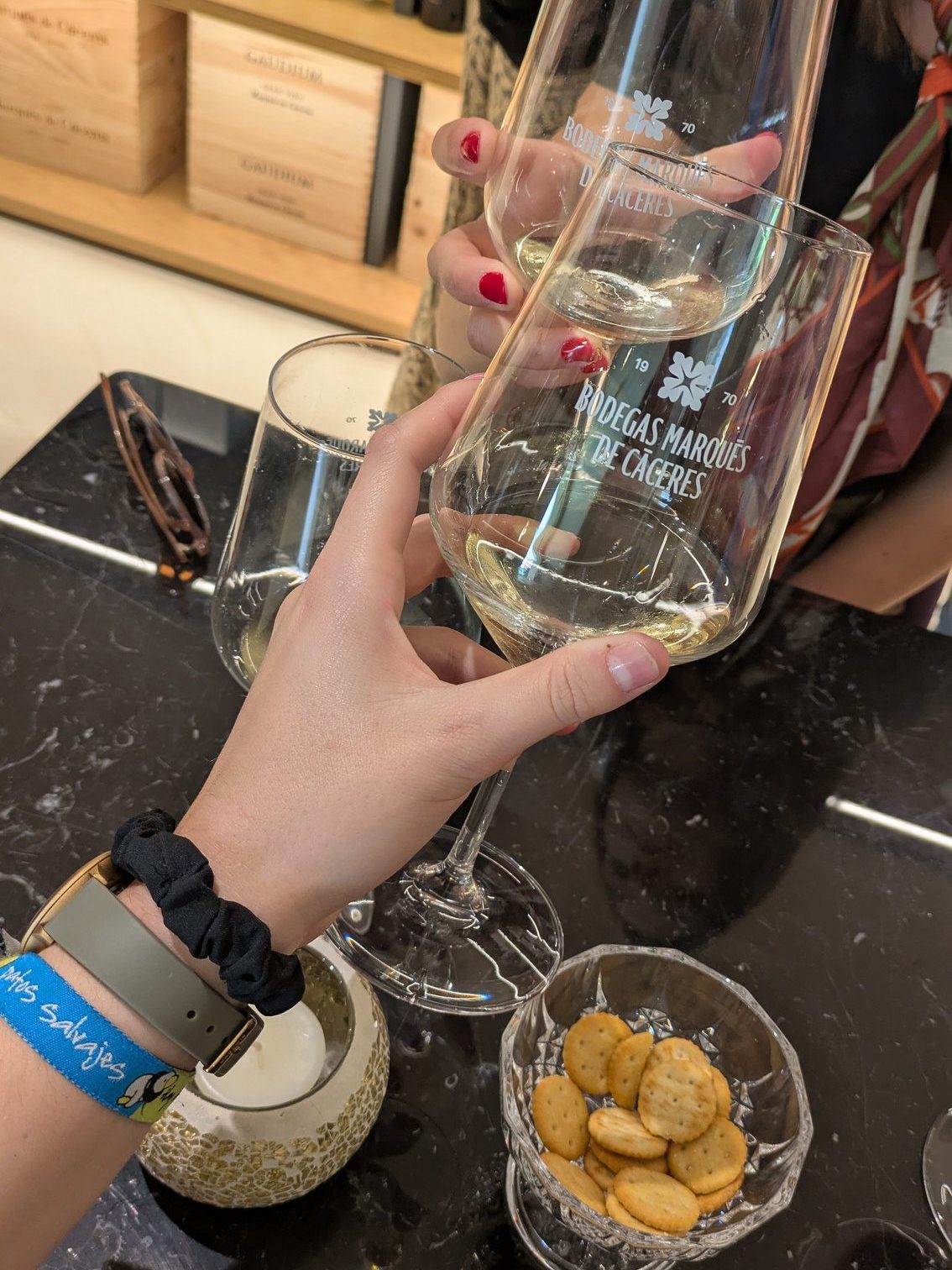 Brindis en las bodegas Marqués de Cáceres en Cenicero