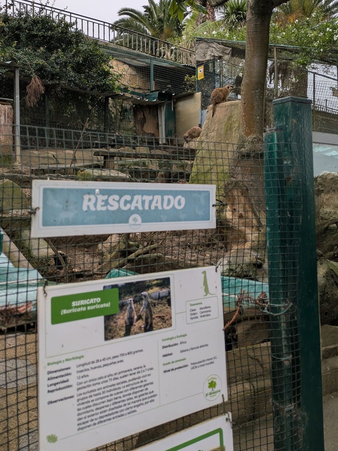 Carteles informativos sobre animales rescatados en el zoo de Oviedo