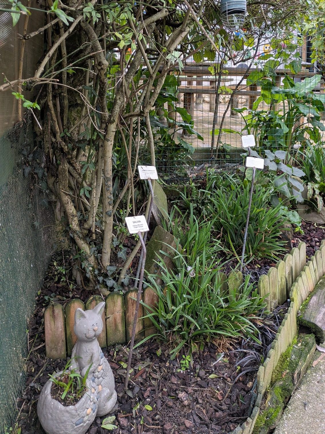 Koi japonés, para aprender sobre botánica en el zoo de Oviedo