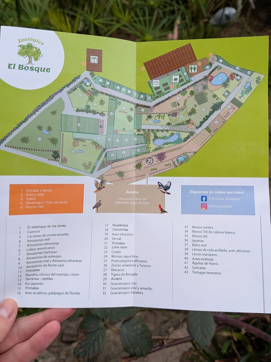 Plano informativo de los animales que puedes ver en El Bosque