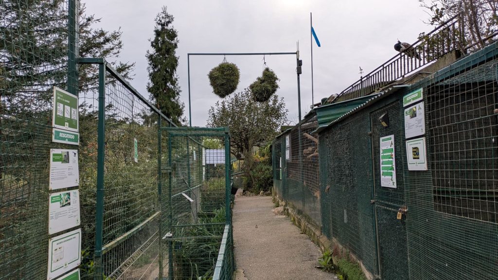 Caminos del zoo de Oviedo