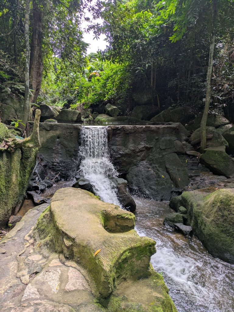 Formas de peces y animales en el jardín mágico de Koh Samui