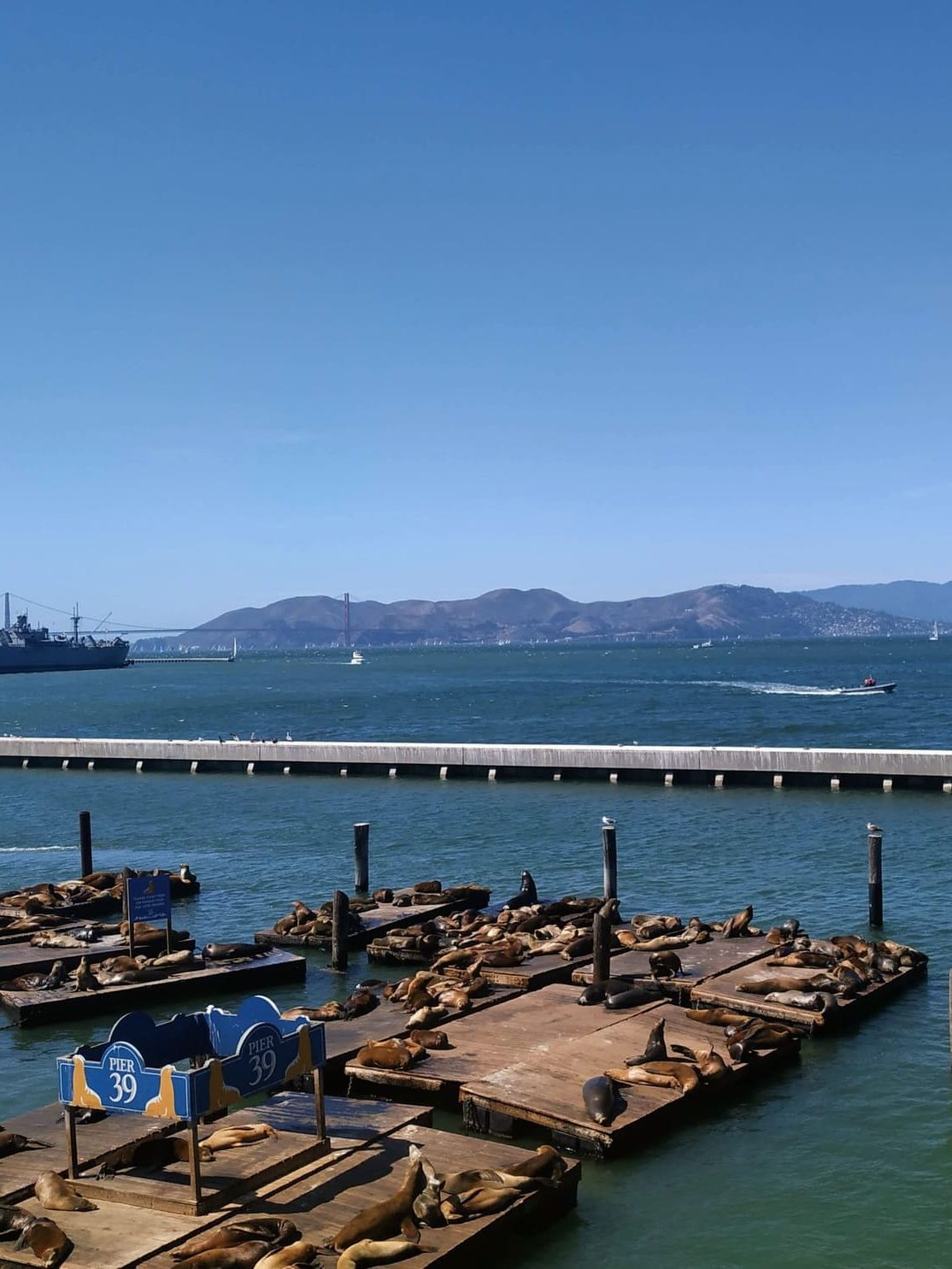 Punto de observación de focas en el embarcadero 39 de San Francisco